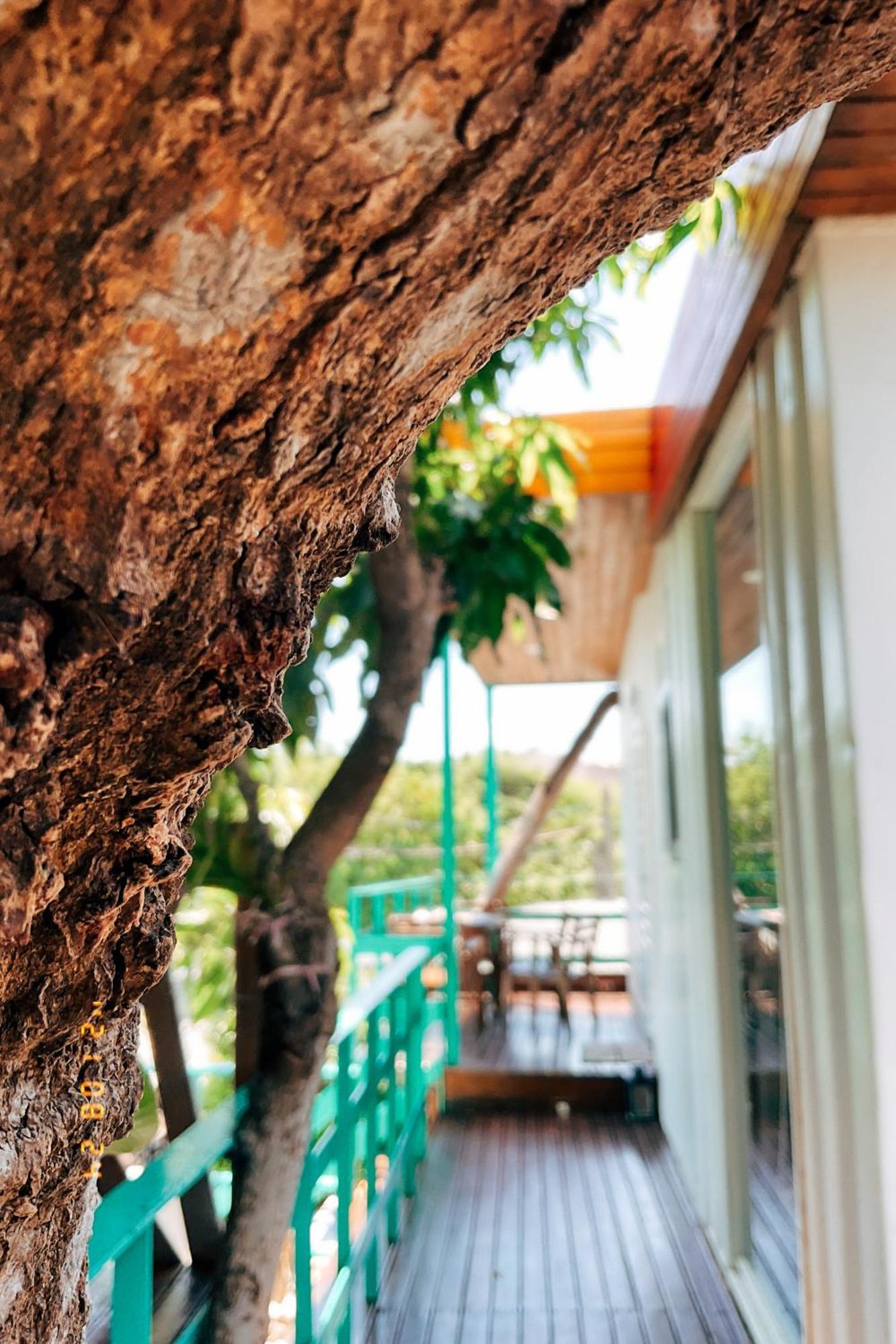 Little Ryukyu Hermit Crab Homestay Île Lamay Extérieur photo